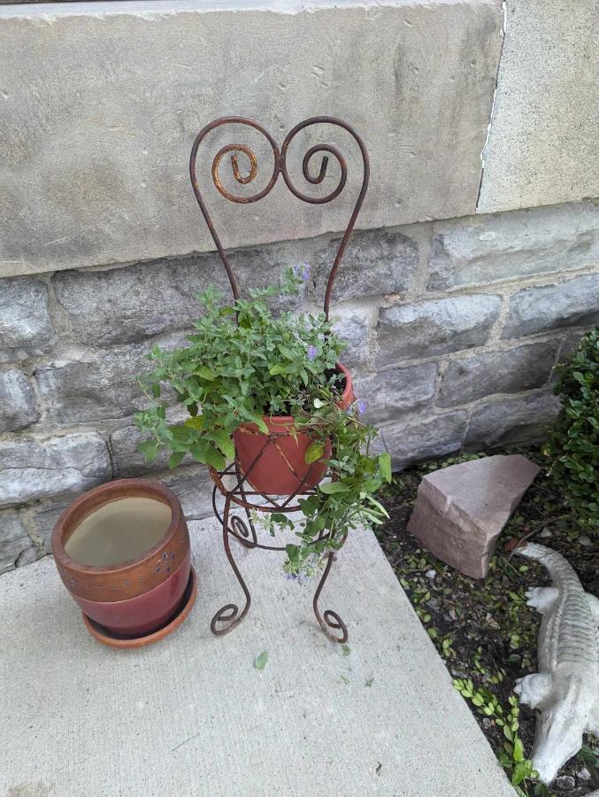 The Vistula Rose B & B Toledo Exterior photo